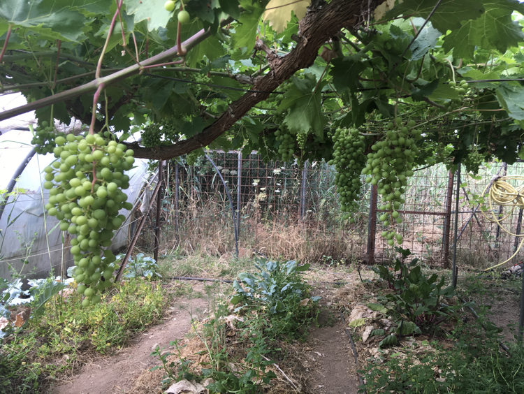 placeholder image-sq