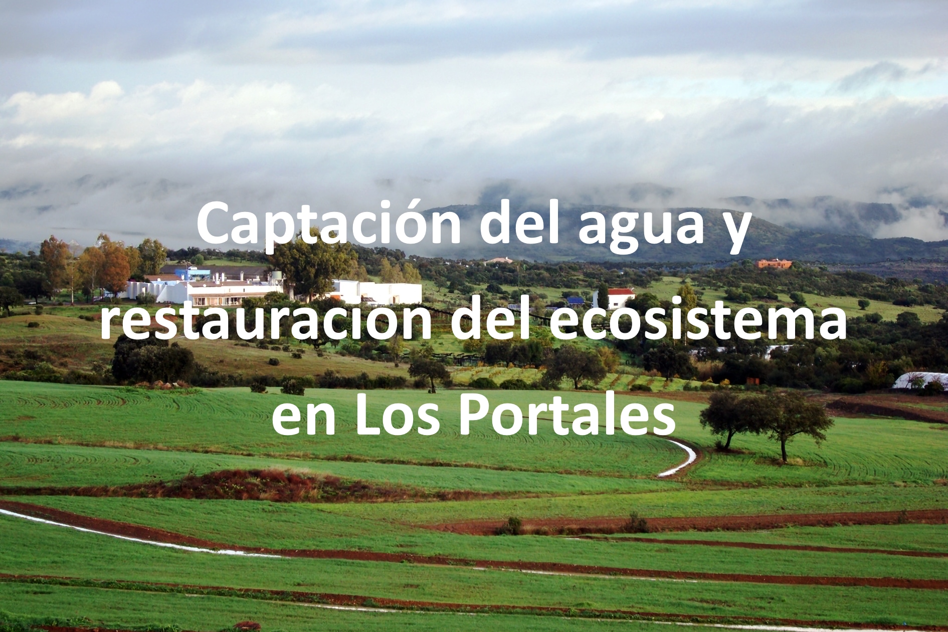 Articulo%20restauracion