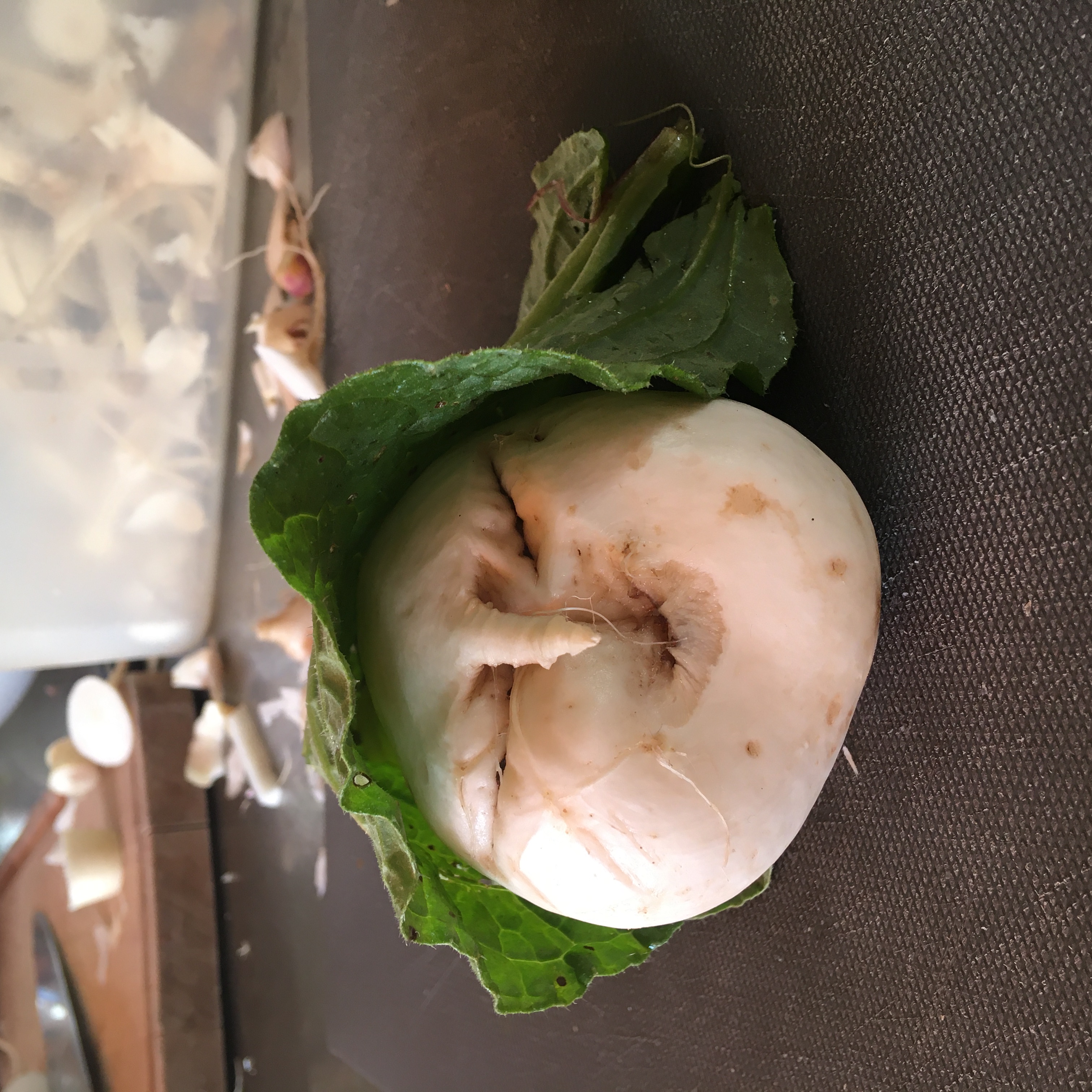 placeholder image-sq